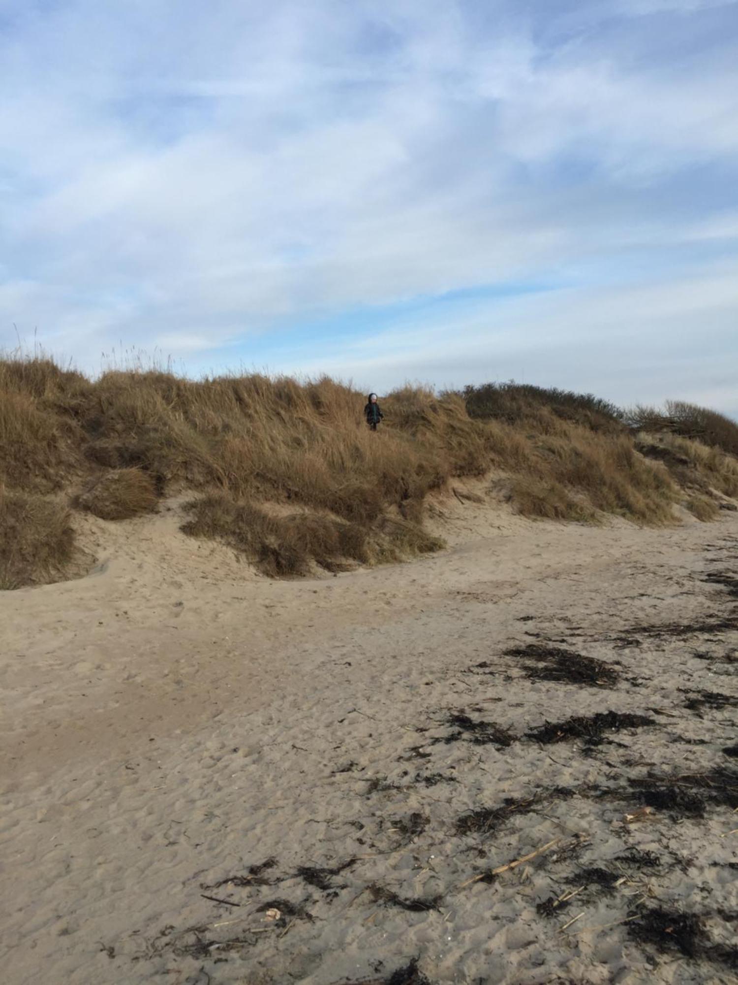 Hotell Vesterhavet Falkenberg Luaran gambar